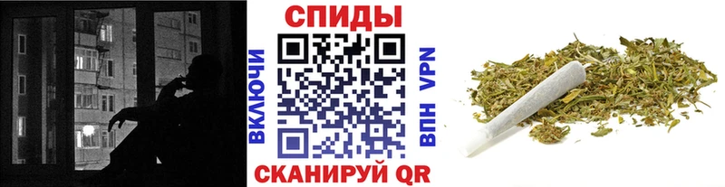 МЕГА ТОР  Кяхта  БУТИРАТ Butirat 