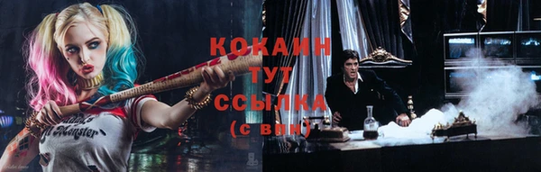 прущие грибы Куйбышев