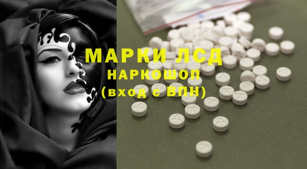 прущие грибы Куйбышев