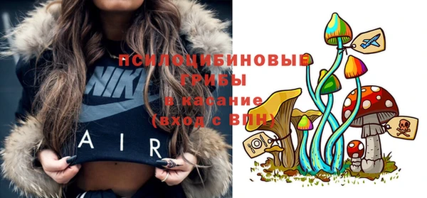 прущие грибы Куйбышев