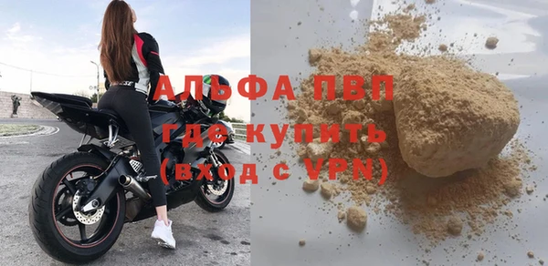 прущие грибы Куйбышев