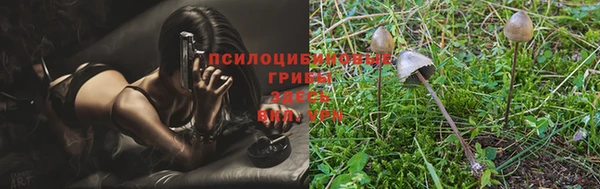 герыч Лиски