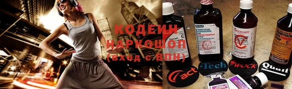 прущие грибы Куйбышев