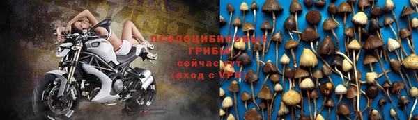 твердый Лабытнанги